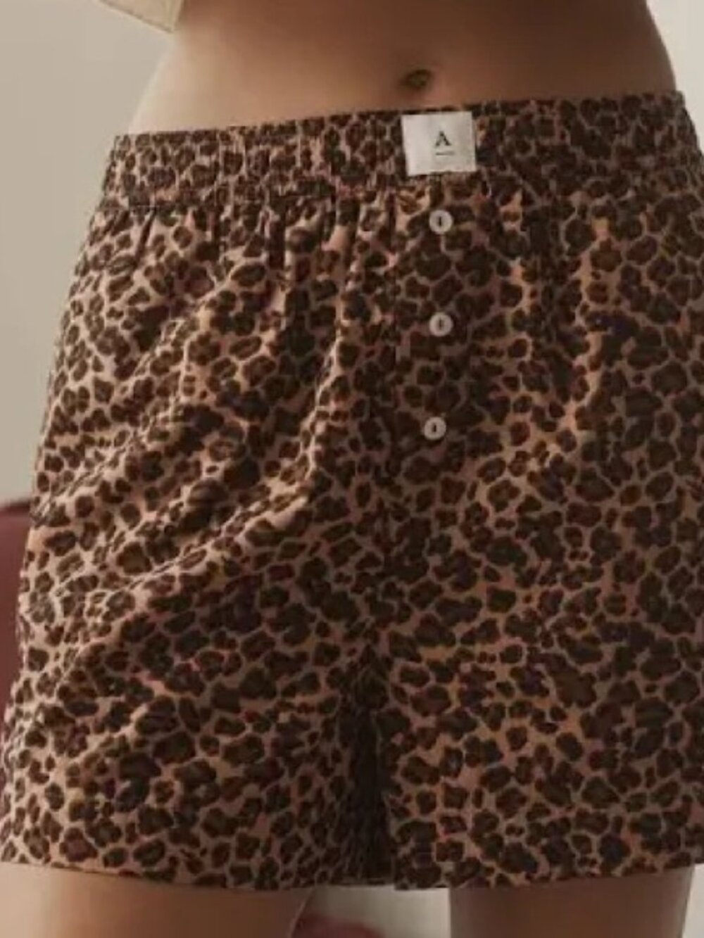 NWT Anthropologie Wren Leopard Cheetah Boxer Shorts Large 100% Cotton